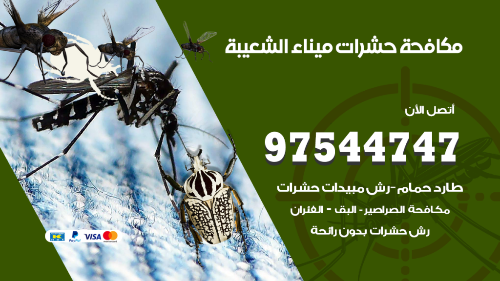 رقم مكافحة حشرات وقوارض ميناء الشعيبة