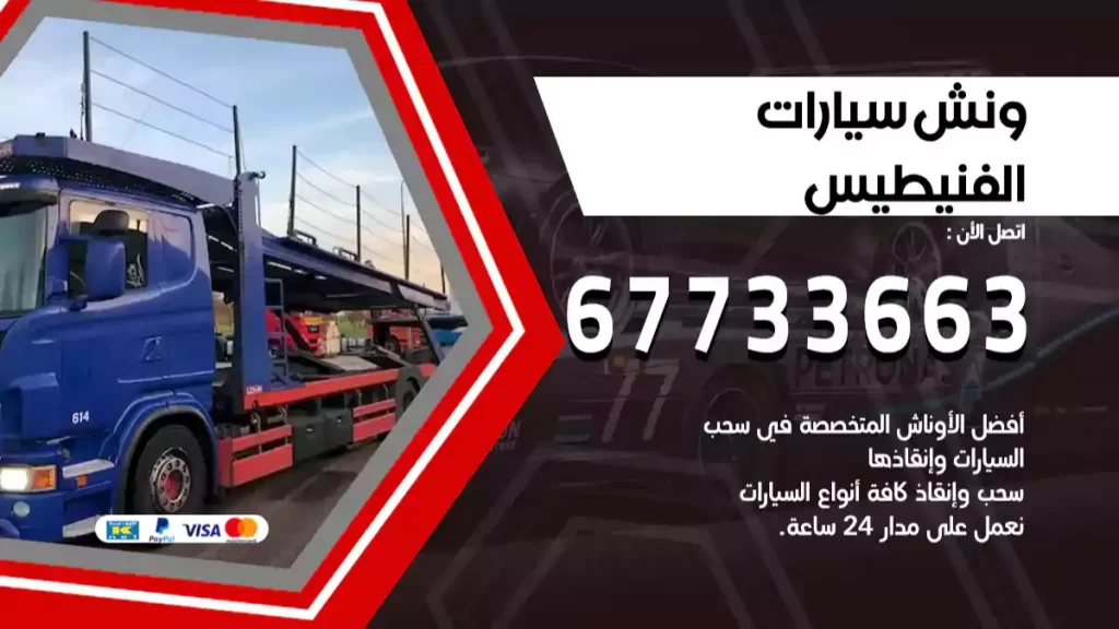 سطحة الفنيطيس