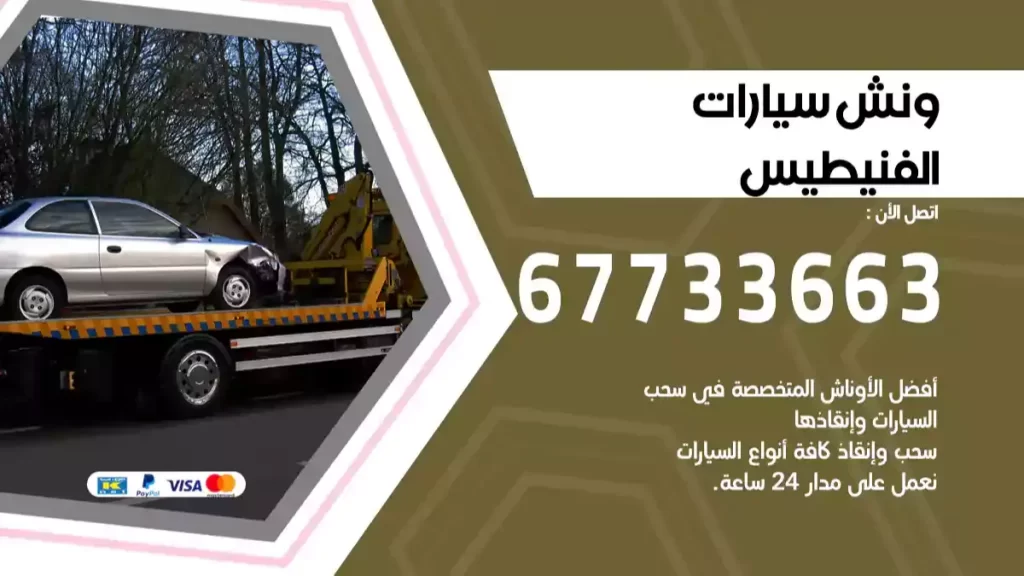 ونش الفنيطيس